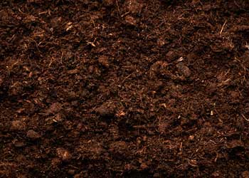 Topsoil, Compost, Fill